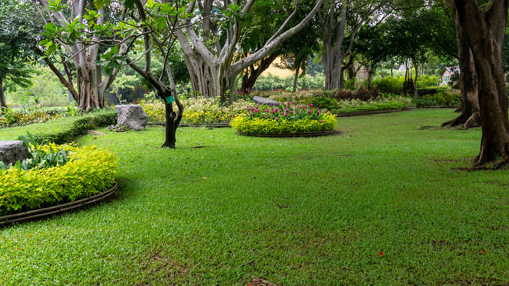A well-maintained irrigated lawn