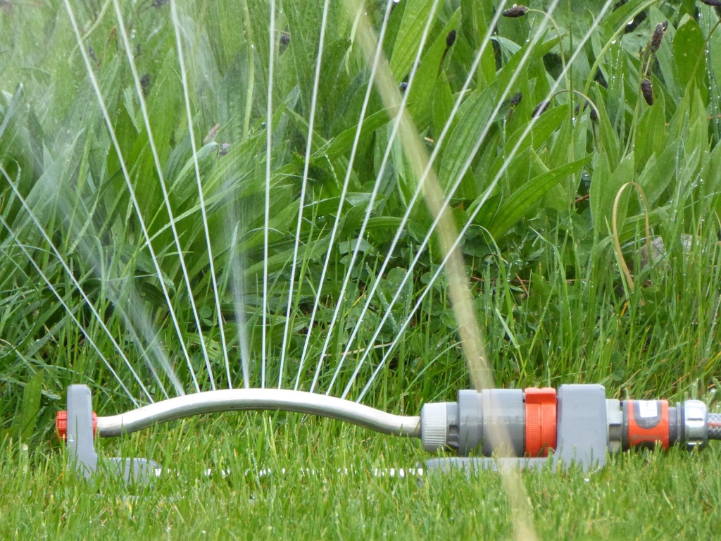 A healthy, evenly watered lawn after a system tune-up