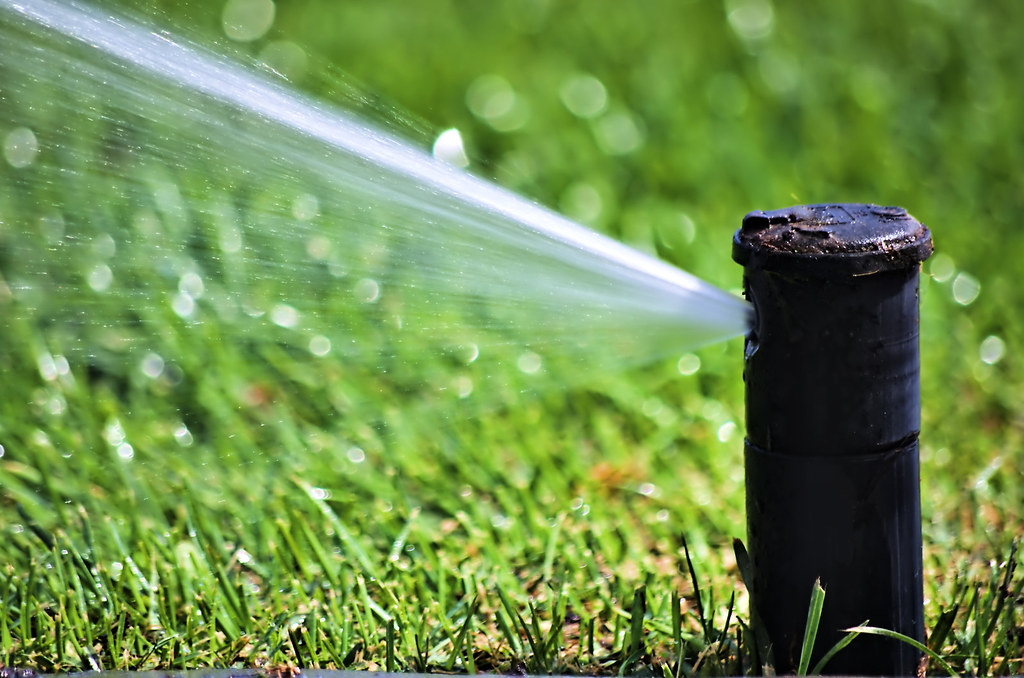 Sprinkler head spraying a green lawn
